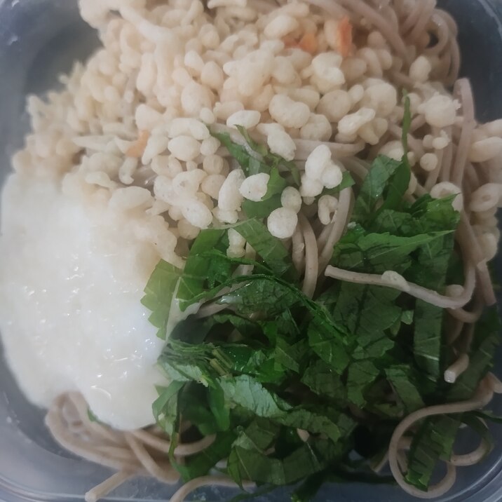 大葉と天かすと大根おろしのぶっかけそば